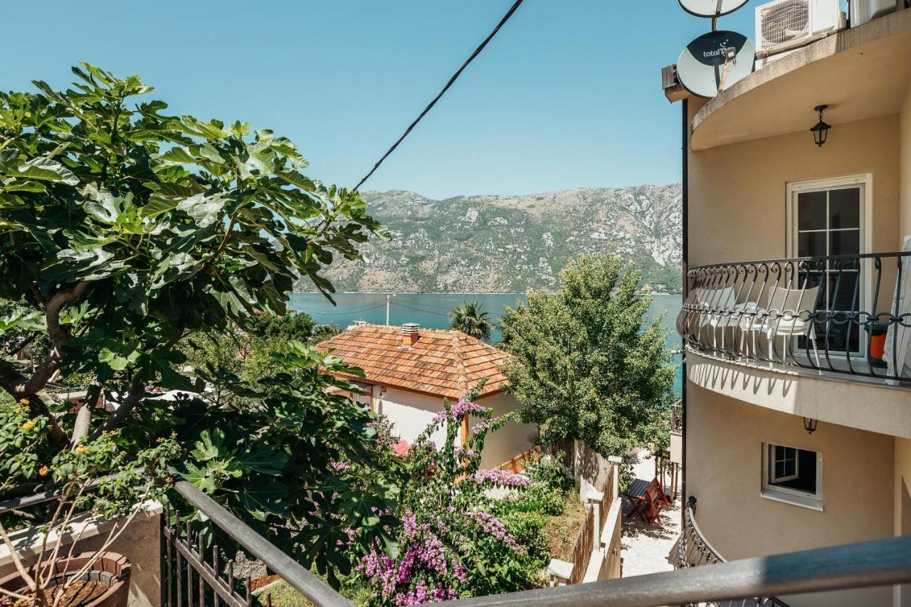 Apartments Cosovic Kotor Ngoại thất bức ảnh